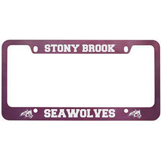 SM-31-PNK-STNYBRK-1-LRG: LXG SM/31 CAR FRAME PINK, Stony Brook